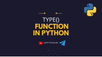 Type function in Python.pdf